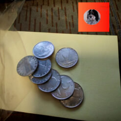 Lire 5 1977 fior di conio Italia - immagine 4