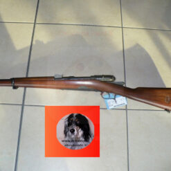 Alternative view of Beretta Vetterli vitali 1934 training sportiva