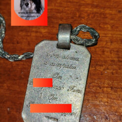 Medaglia Commemorativa del partito di A.N. - immagine 3